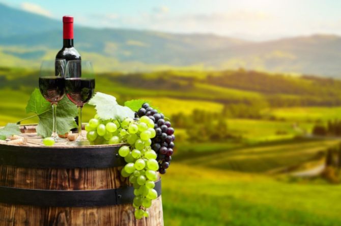 wine tours in the hunter valley