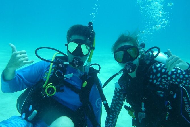 diving in key largo