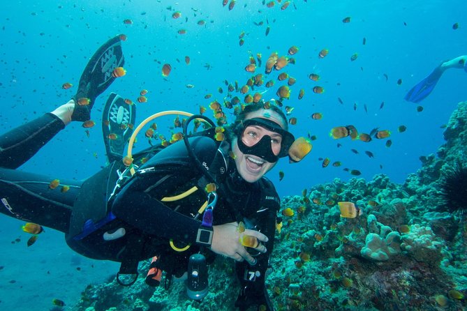 scuba diving in Maui