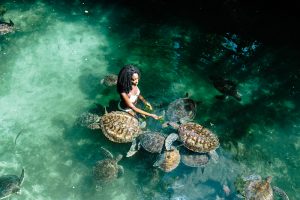 zanzibar turtle sanctuary