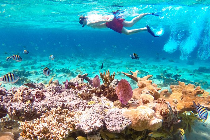 pearl island tour bahamas