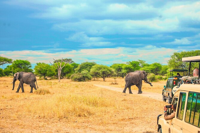 safari zanzibar 1 jour